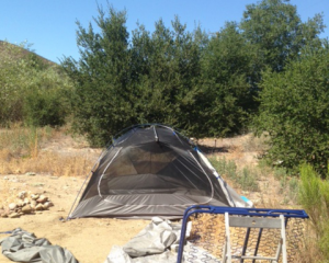 Kelly Tent