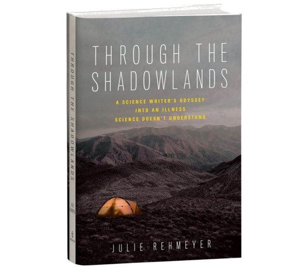 Through the Shadowlands PNG - Paradigm Change